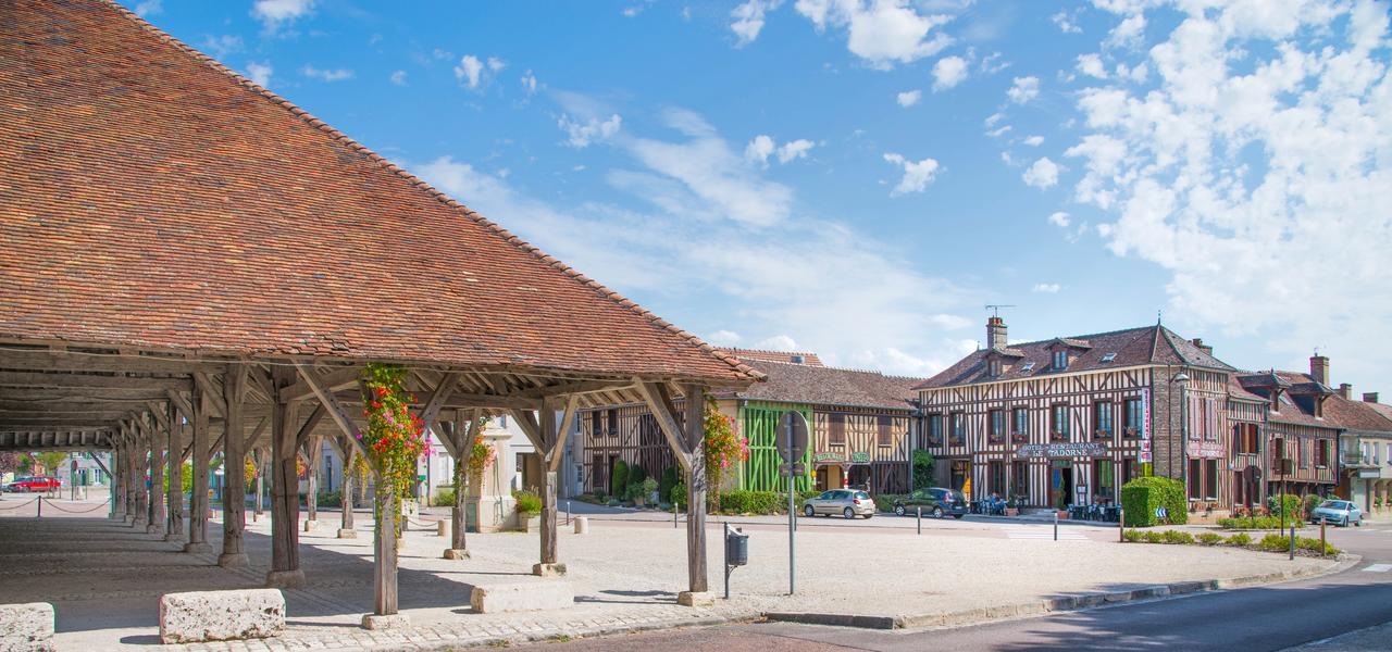 Hotel Logis Le Tadorne Piney Exterior foto